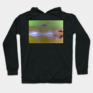 GAINING GOOD GROUND Hoodie